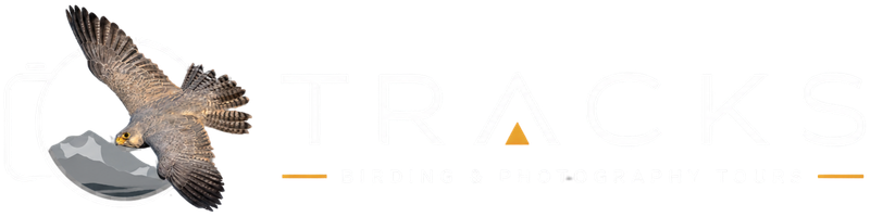 TRACKS BIRDING & PHOTOGRAPHY TOURS